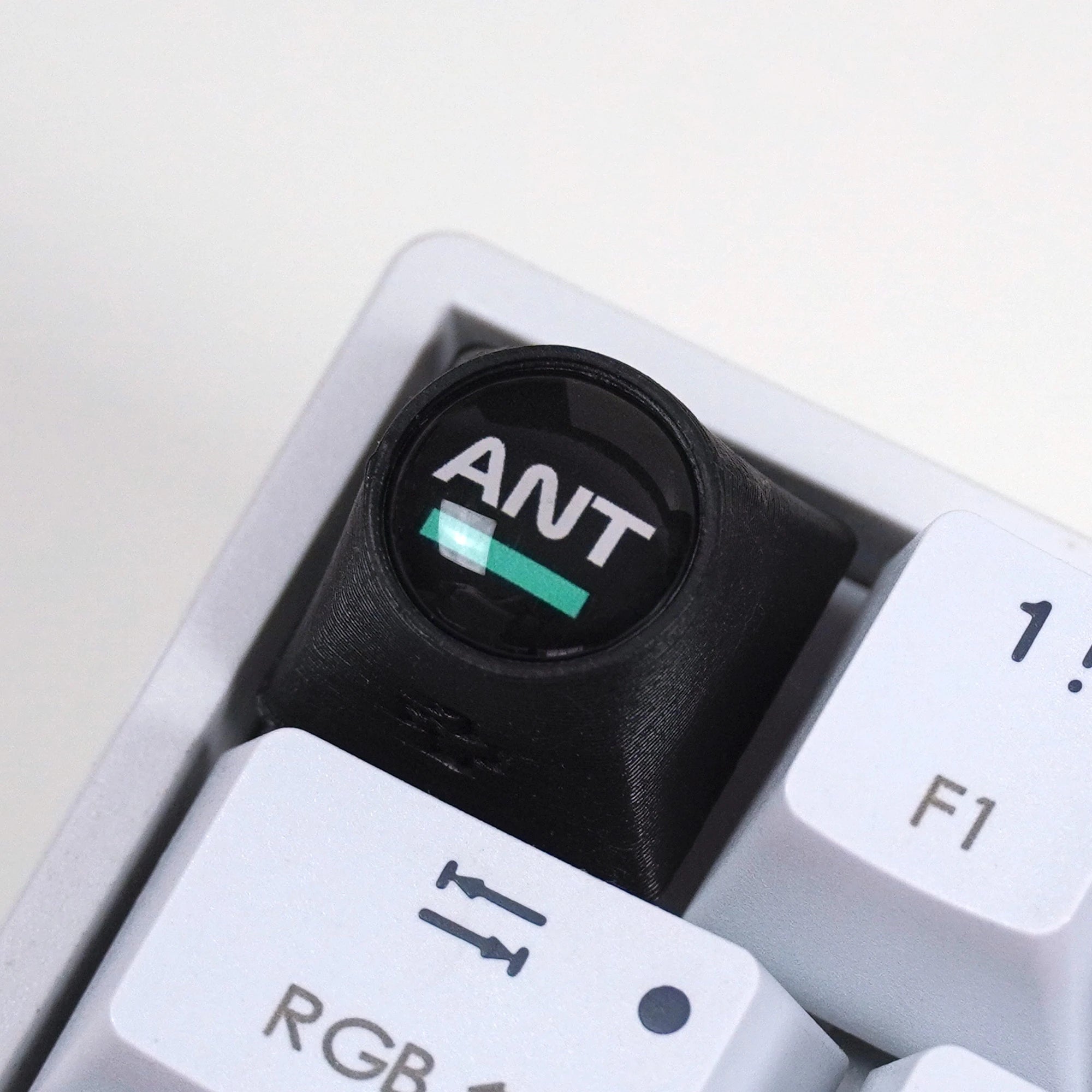 Artisan F1 - ANT + NR. 12